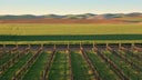 Columbia Valley