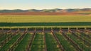 Columbia Valley