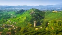 Conegliano Valdobbiadene Prosecco