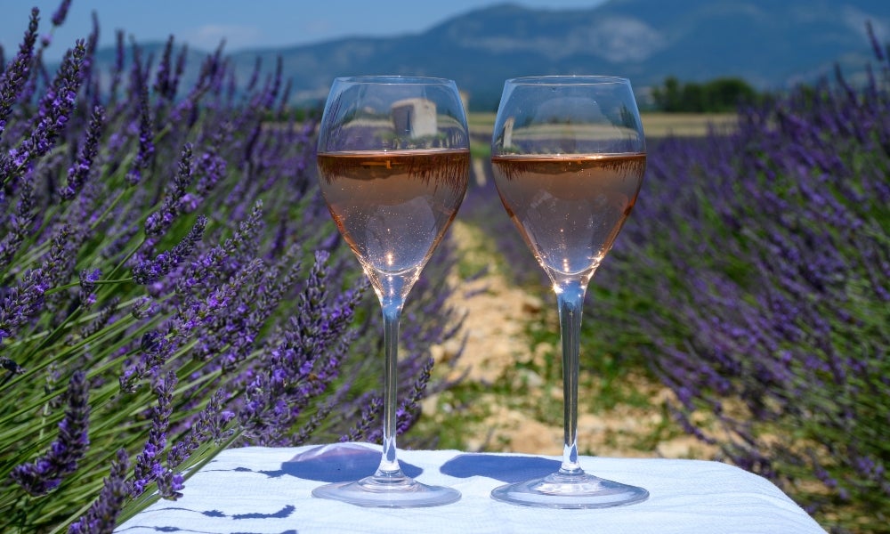 新品未使用　Domaine de l'Ile Porquerolles 2020 Domaine de L'Ile 'Porquerolles' Rose – Vintage Imports Wines