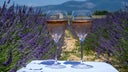 Cotes de Provence