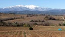 Cotes du Roussillon