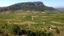Cotes du Roussillon Villages