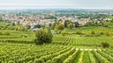 Deidesheim
