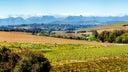 Durbanville