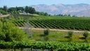 Edna Valley