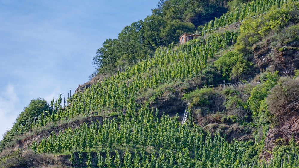 Erden - German Wine Region | Wine-Searcher