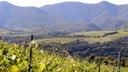 Faugeres
