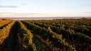 Finger Lakes