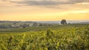Gaillac