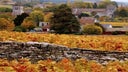 Gevrey-Chambertin Clos Saint-Jacques