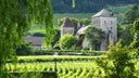 Gevrey-Chambertin Lavaut Saint-Jacques