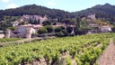 Gigondas