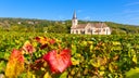 Givry Clos Salomon