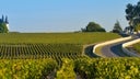 Haut-Medoc
