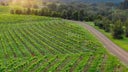 Hunter Valley