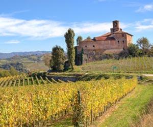 Italian Wine - Regions | Wine-Searcher