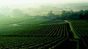 Lalande-de-Pomerol