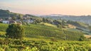 Langhe