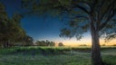 Langhorne Creek