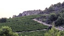 Languedoc