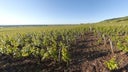 Latricieres-Chambertin