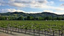 Livermore Valley