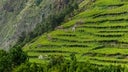 Madeira