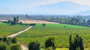 Maipo Valley
