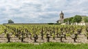 Margaux