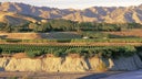 Marlborough