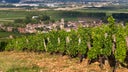 Marsannay