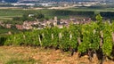 Marsannay