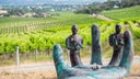McLaren Vale