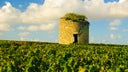 Medoc