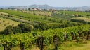 Montepulciano d'Abruzzo