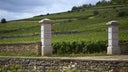 Montrachet