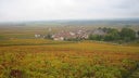Morey-Saint-Denis Monts Luisants