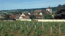 Morey-Saint-Denis Premier Cru