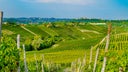 Moscato d'Asti