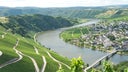 Mosel