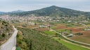 Nemea