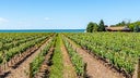 Niagara-on-the-Lake