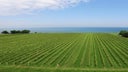 Niagara Peninsula