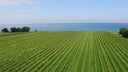 Niagara Peninsula