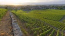Nuits-Saint-Georges