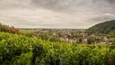 Nuits-Saint-Georges Ronciere