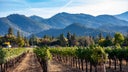 Oregon