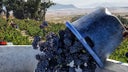 Paarl