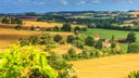 Pacherenc du Vic-Bilh